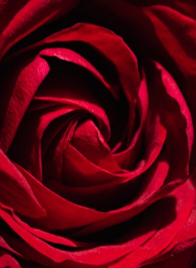 Painting the roses red in marriage